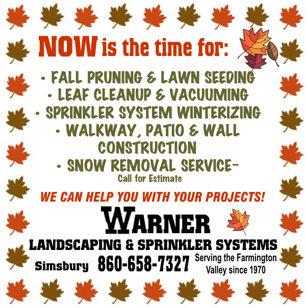 Specials – Warner Nursery